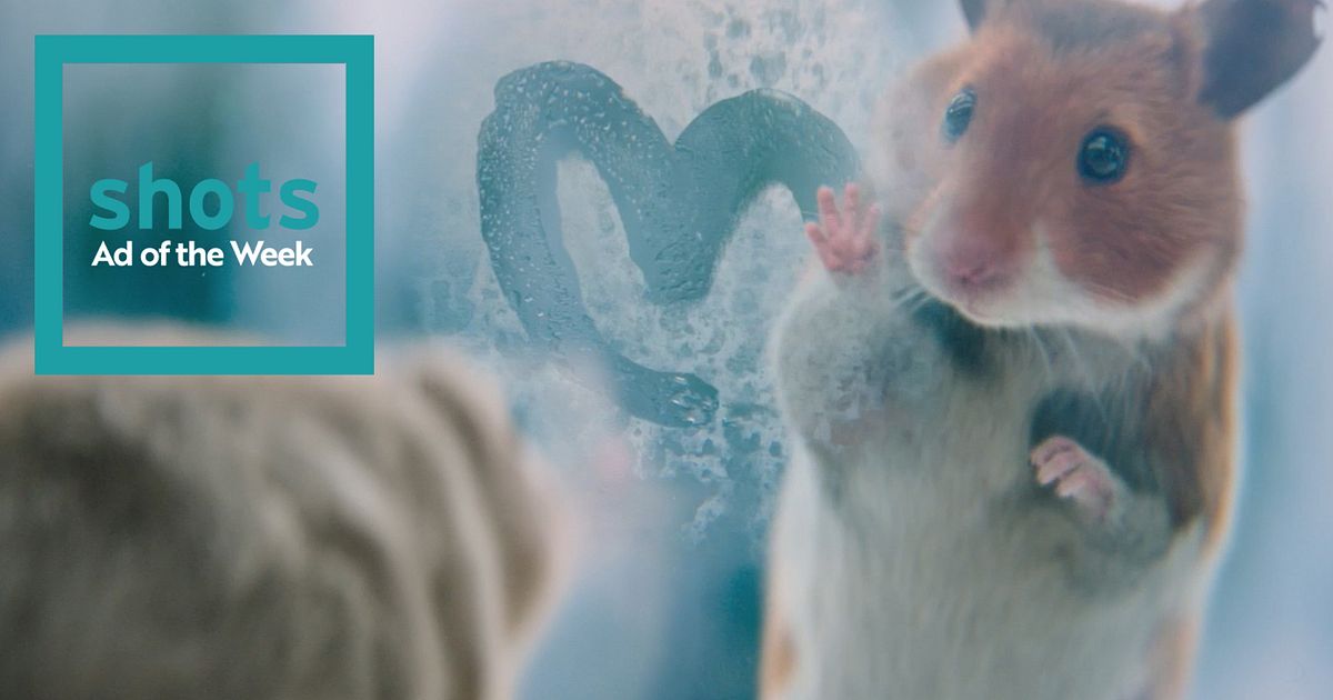 Albert Heijn’s rodent romance | shots